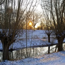 Sunrise over Lower Rhine landscape on the Aubruch Canal in winter, Moers, Wesel district, Lower