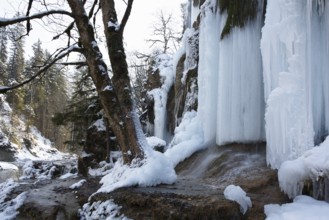 Schleierfälle an der Ammer in winter, frozen waterfall, ice, icicles, Upper Bavaria, Germany