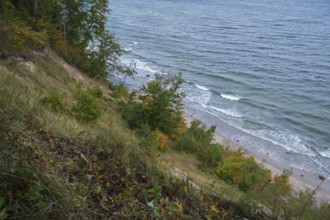 Cliff coast on Nordperd, nature reserve, Baltic resort Göhren, Baltic Sea, Rügen island,