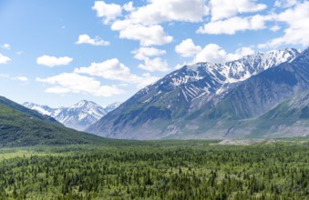 Mountain peak with snow and taiga, Alaska Range, Richardson Highway, Alaska, USA