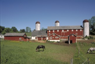 Dairy farm with silo towers, Marksborow, New Jesey, USA