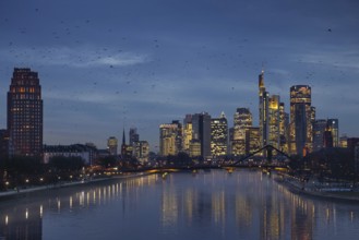 A flock of birds flies in the evening towards the glowing Frankfurt banking skyline, Osthafen,