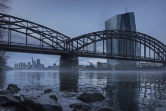 Fog drifts across the river Main in front of the European Central Bank (ECB) in Frankfurt,