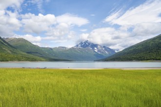 Green meadow on a lake and mountains, Eklutna Lake, Chugach Mountains, Chugach State Park, Alaska,