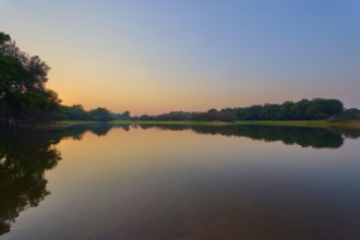 Morning light bathes the lake in warm, golden tones with the shade of green trees, Fazenda Barranco