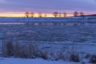 Cold winter morning on the Elbe with floating ice floes, snow and dawn at sunrise, Kötzschenbroda,