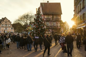 Christmas market, sunset, old town, Colmar, Haut-Rhin, Alsace, France