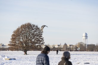 Winter, impressions from Tempelhofer Feld, Berlin, 11.01.2026