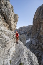 Mountaineer climbs an exposed rock band in the secured via ferrata Bocciere Centrale, Brenta