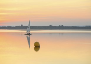 Sailing boat glides on quiet Dümmer Lake with a yellow buoy at sunset, Dümmer nature park Park,