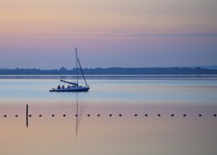 Sailing boat glides across quiet Dümmer Lake in the colors of a sunset, Dümmer nature park Park,