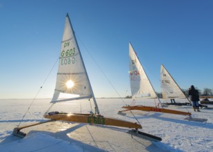 Ice sailboats on frozen Dümmer Lake in sunshine under clear sky, Lembruch, Dümmer nature park Park,