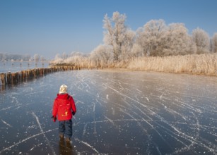 Child in red clothes walks across a frozen area of Dümmer Lake in a wintry landscape, Dümmer nature