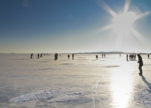 People stroll across the frozen Dümmer Lake under bright sunshine, Dümmer nature park Park,