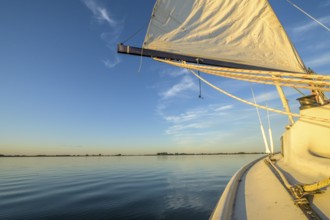 Sailing boat dinghy cruiser on calm Dümmer See, wide horizon, clear blue sky tint, Dümmer nature
