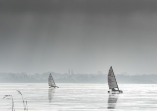 Ice sailors on frozen Dümmer Lake, grey sky in the background, Dümmer nature park Park, Lembruch,
