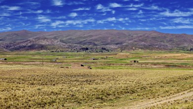 Wide fields against mountains and cloudy blue sky, The Altiplano landscape in the Andes of Bolivia