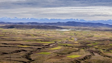 Extensive fields with mountains on the horizon and cloudy sky, the Altiplano landscape in the Andes