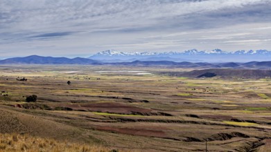 Wide plain with mountains and clouds on the horizon, The Altiplano landscape in the Andes of