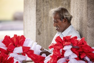 A man looks thoughtfully at rose petals under a stone pillar in sunny weather, people making