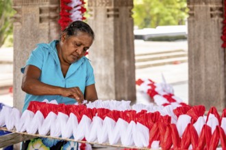 Woman making red and white decorations in an enclosed space, people making garlands in Colombo Sri