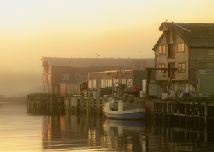 A picturesque harbor at sunrise with fog, calm water and wooden buildings that radiate a peaceful