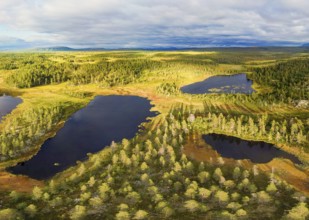 Green forest landscape with blue lakes under a cloudy sky in a calm atmosphere, Härjedalen,