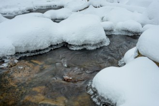 Ilsenburg, Saxony-Anhalt, Germany, Small river Ilse in the Harz National Park on Heinrich-Heine
