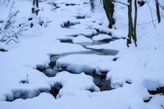 Ilsenburg, Saxony-Anhalt, Germany, Small river Ilse meanders in the Harz National Park on the