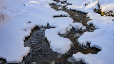 Ilsenburg, Saxony-Anhalt, Germany, snowy Ilse river in the Harz National Park on the Heinrich-Heine