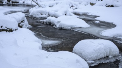 Snowy river Ilse in the Harz National Park with frozen banks in a wintry landscape on the