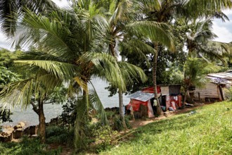Small riverbank huts surrounded by palm trees and lush greenery in a tropical landscape, poverty