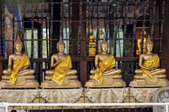 Row of Buddha statues in a temple, separated by bars, all with yellow robes, The Seema Malaka