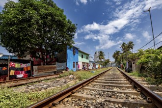 Railway tracks run along colorful houses and a large tree under a cloudy sky, railway line in the