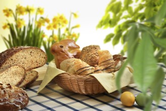 Easter basket with pastries, bread, Easter eggs, on checkered tablecloth, plants and flowers as