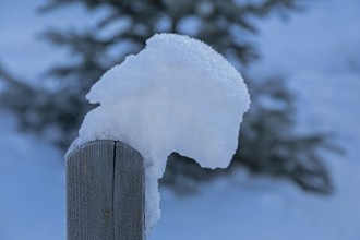 Snow on fence post, winter, Sieversen, Samtgemeinde Rosengarten, Lower Saxony, Germany