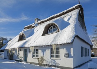Snowy thatched house, icicles, ice, snow, winter, Sieversen, Samtgemeinde Rosengarten, Lower