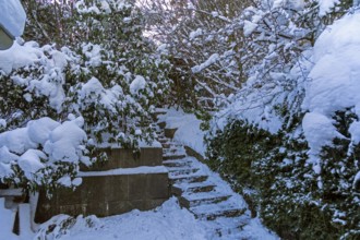 Snowy garden, stairs, winter, snow, Sieversen, Samtgemeinde Rosengarten, Lower Saxony, Germany