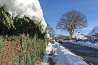 Snowy hedge, road, houses, winter, snow, Sieversen, Samtgemeinde Rosengarten, Lower Saxony, Germany
