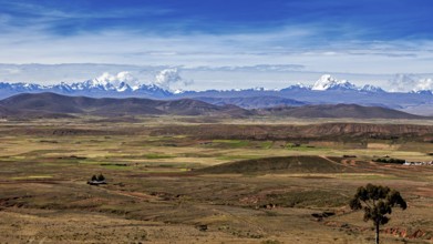 Extensive valleys in front of a high mountain range and deep blue sky, the Altiplano landscape in