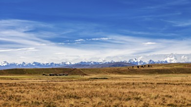 Endless fields against a mountainous backdrop under a blue sky, the Altiplano landscape in the