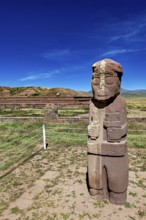 Free-standing stone statue in a grass-covered ruined landscape under a blue sky, The archaeological
