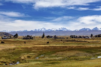 Landscape with snow-capped mountains in the background, village and fields in the foreground under