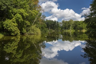 Cumulus clouds over Ahlhorn fish ponds, Ahlhorn, Lower Saxony, Germany