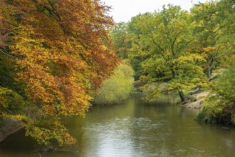 Wald an der Hunte bei Barneführer Holz in autumn, Barneführer Holz, Hatten, Lower Saxony, Germany