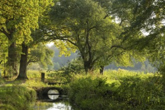 Autumn impression of Ahlhorn fish ponds, Ahlhorn, Lower Saxony, Germany