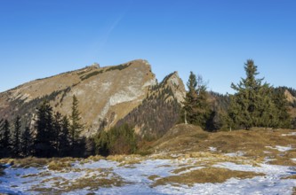 Sankt Wolfgang, Vormaueralm with Schafberg, Osterhorn Group, Salzkammergut, Upper Austria, Austria