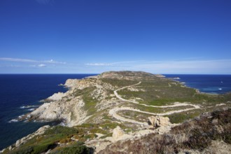 Punta de la Revellata, Calvi, Haute Corse Department, Corsica, France