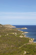 Coast at Punta de la Revellata, behind the lighthouse, Calvi, Haute Corse Department, Corsica,