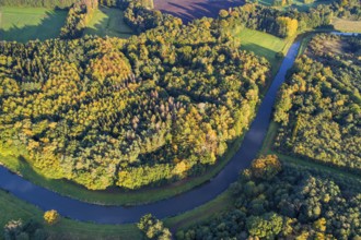 Hunte in autumn Barneführer wood, forest, autumn colors, Westerburg, Wardenburg, Lower Saxony,